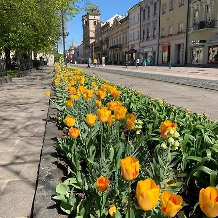 Apartment Usmev Kosice